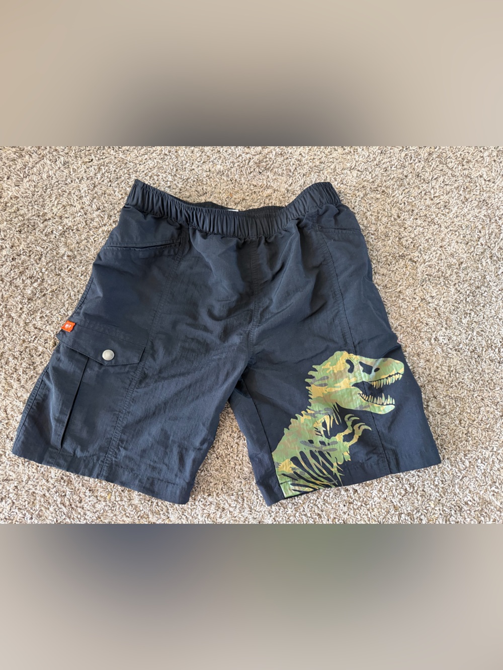 Youth Large Boys Jurassic Park Shorts